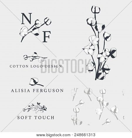 Cotton Bud Leaf Flower Vector Hand Drawn Logo Template, Packaging, Label, Identity, Branding. Stylis