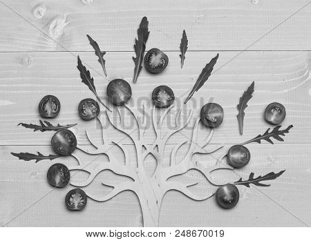 Cherry Tomatoes And Arugula Leaves Put On Wooden Tree Decoration. Food For Decor. Vegetarian Art Con