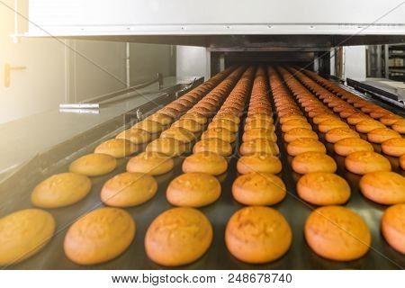 Cakes On Automatic Conveyor Belt Or Line, Process Of Baking In Confectionery Culinary Factory Or Pla