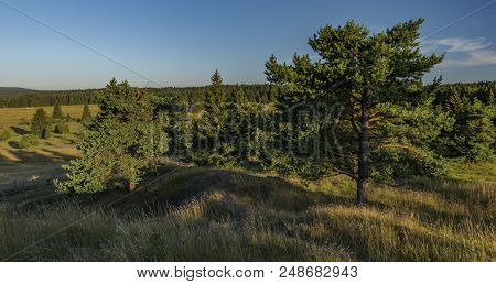 Slavkovsky Les Mountains In Summer Sunny Nice Morning Near Krizky Area