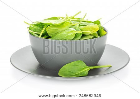 Fresh Baby Spinach Leaves In A Grey Ceramic Bowl With A Plate Isolated On White Background
