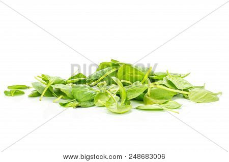 Fresh Baby Spinach Heap Isolated On White Background