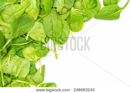 Fresh Baby Spinach Leaves Top View Isolated On White Background Left Upper Corner