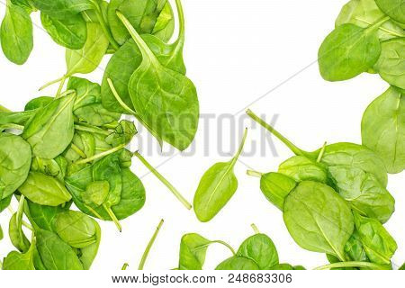 Fresh Baby Spinach Leaves Top View Isolated On White Background