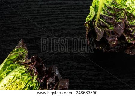 Group Of Two Whole Fresh Green Lettuce Red Little Gem Variety Flatlay On Black Wood