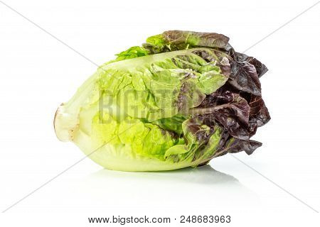 One Whole Fresh Green Lettuce Red Little Gem Variety Isolated On White