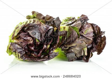 Group Of Two Whole Fresh Green Lettuce Red Little Gem Variety Front View Isolated On White