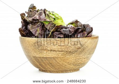 Fresh Green Lettuce Red Little Gem Variety In A Wooden Bowl Isolated On White