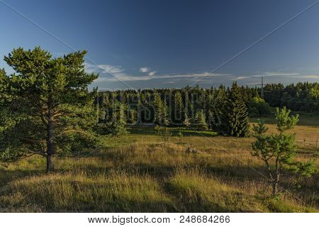 Slavkovsky Les Mountains In Summer Sunny Nice Morning Near Krizky Area