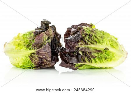 Group Of Two Whole Fresh Green Lettuce Red Little Gem Variety Isolated On White