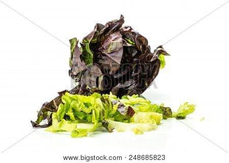 One Whole Fresh Green Lettuce Red Little Gem Variety And Chopped Pieces Isolated On White