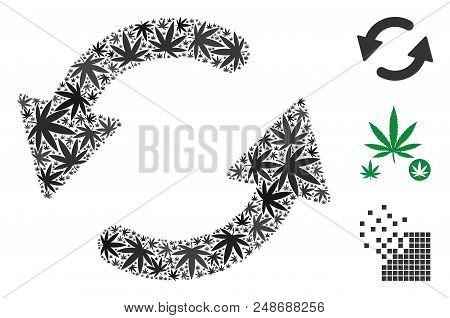 Refresh Ccw Mosaic Of Marijuana Leaves In Different Sizes And Color Shades. Vector Flat Marijuana El