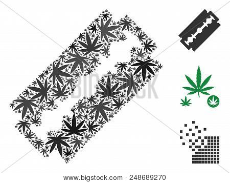 Shaving Razor Blade Collage Of Marijuana Leaves In Variable Sizes And Color Hues. Vector Flat Ganja 
