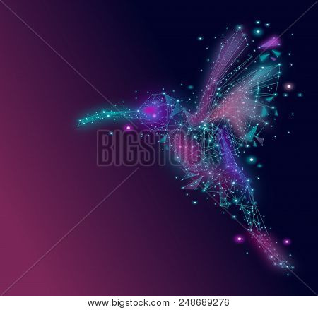 Isolated Low Poly Colorful Hummingbird With Rainbow Back Ground,animal Geometric,vector.
