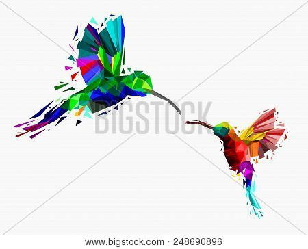 Abstract Of Low Poly Couple Hummingbird With Point Connecting Network,animal Geometric Concept,vecto