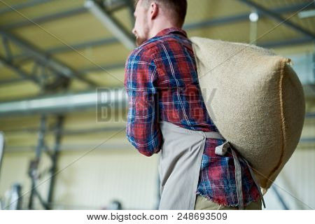 Side View Portrait Of Modern Bearded Man Wearing Apron Carrying Burlap Bags With Coffee In Artisan R
