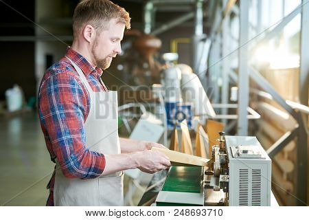 Side View Portrait Of Modern Bearded Man Wearing Apron Packing Freshly Roasted Coffee Beans In Craft