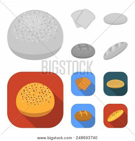 Toast, Pizza Stock, Ruffed Loaf, Round Rye.bread Set Collection Icons In Monochrome, Flat Style Vect