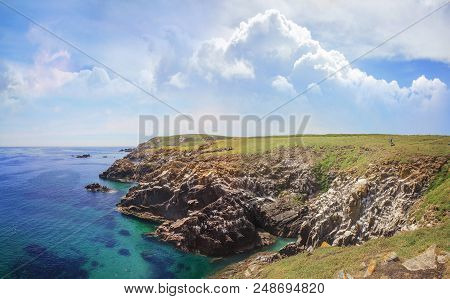 Saltee Island Landscape In Ireland. Close Up.