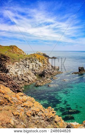 Saltee Island Landscape In Ireland. Close Up.