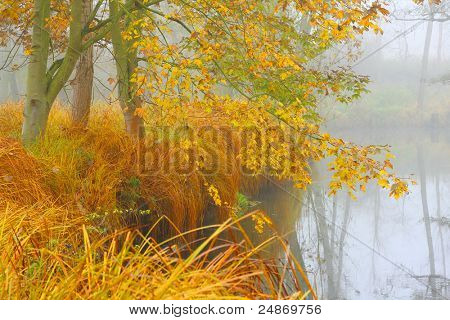 Autumn misty day on a Radbuza River. Beaver sanctuary. Beautiful place in The Western Bohemia, Czech Republic, Europe.