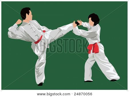 Mannen en vrouwen gevechten in kung fu stijl. Kleur vectorillustratie.