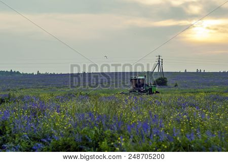 Pastoral Landscape With A Flowering Meadow And A Machine For Cleaning Livestock Feed In The Backgrou