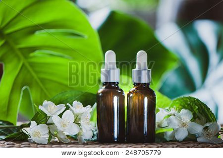 Essential Jasmine Oil. Bioproduct, Organic Cosmetics. Perfumery, Cosmetology, Aromatherapy, Perfume