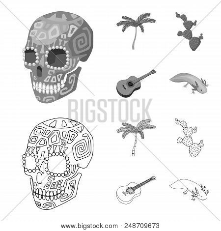Green Skull With A Picture, A Palm Tree, A Guitar, A National Mexican Instrument, A Cactus With Spin