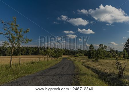 Road In Slavkovsky Les Mountains In Summer Sunny Sunset Evening Near Krizky Area
