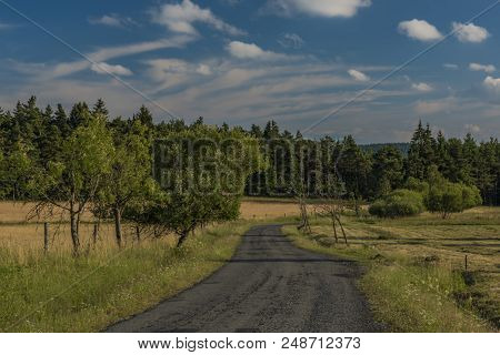 Road In Slavkovsky Les Mountains In Summer Sunny Sunset Evening Near Krizky Area
