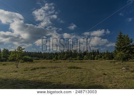 Slavkovsky Les Mountains In Summer Sunny Sunset Evening Near Krizky Area
