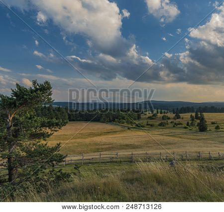 Slavkovsky Les Mountains In Summer Sunny Sunset Evening Near Krizky Area