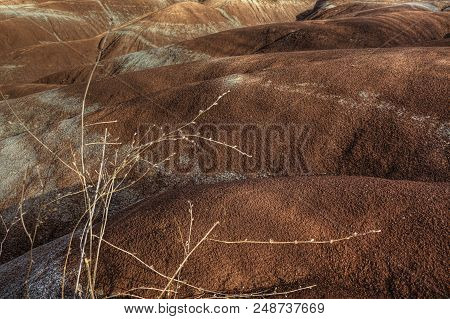 A Scene Of The Badlands In Ontario, Canada