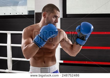 A Boxer Wearing Gloves In The Training Hall. Boxer Kick In The Gym. Sport. Boxing