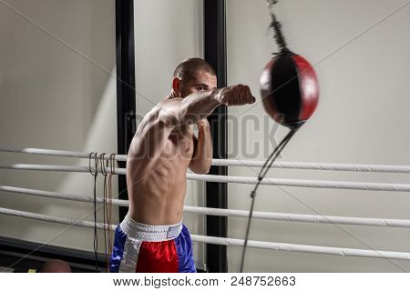 A Boxer Wearing Gloves In The Training Hall. Boxer Kick In The Gym. Sport. Boxing