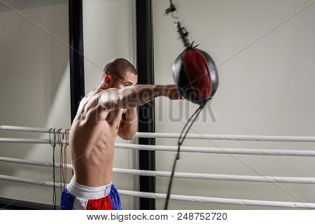 A Boxer Wearing Gloves In The Training Hall. Boxer Kick In The Gym. Sport. Boxing