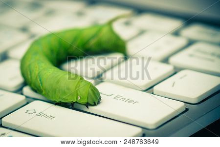 Computer Security Breach Due To Worm Attack