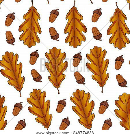 Seamless Pattern From Oak Leaves And Acorn On A White Background. Hand Drawing. Vector Illustration.