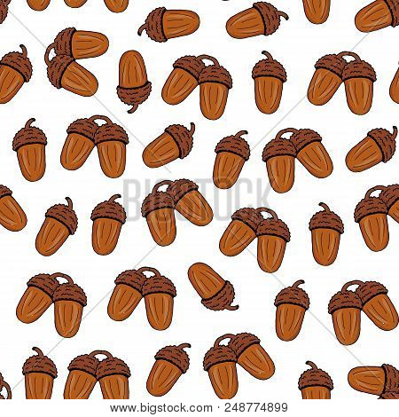 Seamless Pattern From Brown Acorn On A White Background. Hand Drawing. Vector Illustration. Autumn W
