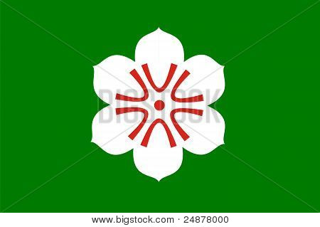 Saga vlag