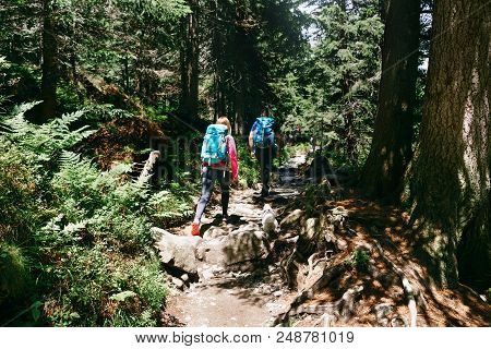 Couple Travelers With Backpack And Little Dog Walking Dense Forest. Travel And Backpacking Lifestyle