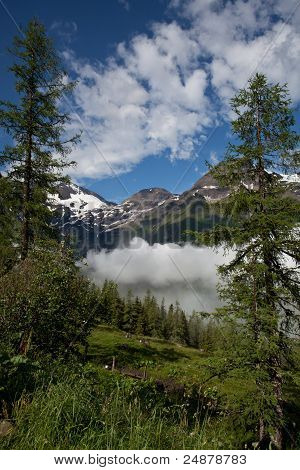 阿尔卑斯山