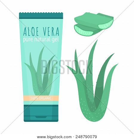 Aloe Vera Pure Natural Gel. Cosmetic Produst For Skincare And Slices Of Fresh Plant.