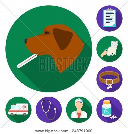 Veterinary Clinic Flat Icons In Set Collection For Design. Treatment Of A Pet Vector Symbol Stock  I