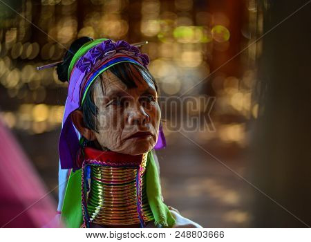 Kayan Woman (long Neck People)