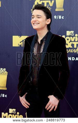 LOS ANGELES - JUN 16:  Noah Schnapp at the 2018 MTV Movie And TV Awards at the Barker Hanger on June 16, 2018 in Santa Monica, CA