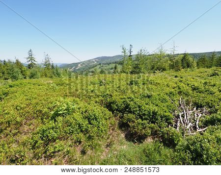 Salmopol Pass Near Kotarz Mount In Fantastic Silesian Beskids Mountains Range Landscapes Above Europ