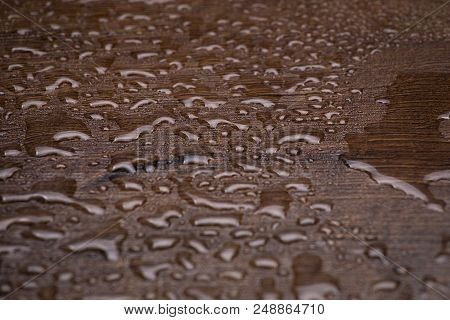 Texture Of A Tree With Lots Of A Drop Of Water Close-up