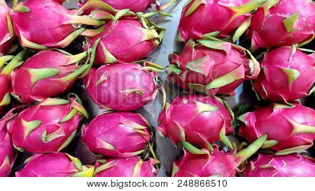 A Lot Of Dragon Fruit (hylocereus Undatus) In The Market